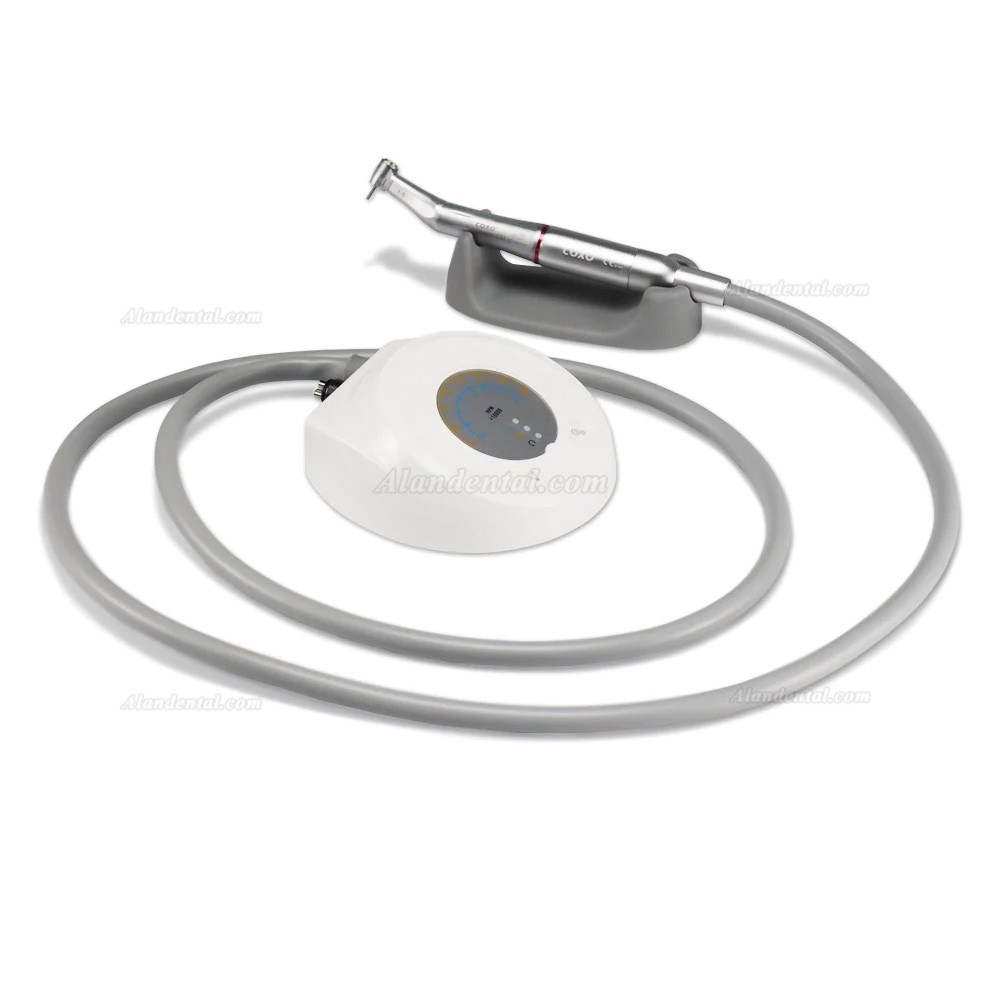 COXO C-PUMA Mini Dental Electrical Motor With 1:5 Contra Angle